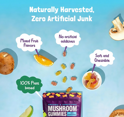 Focus Mushroom Gummies